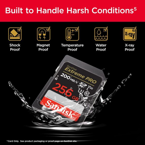 Sandisk 256GB and Memory Card Case - Image 5