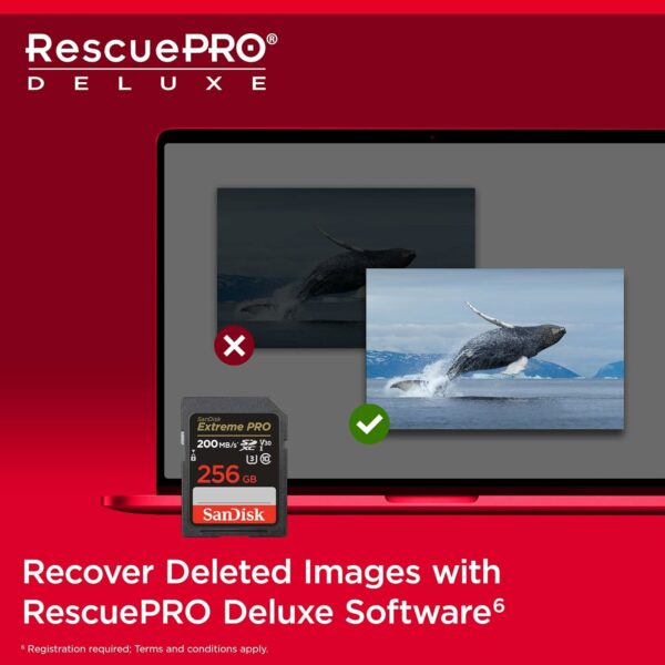 Sandisk 256GB and Memory Card Case - Image 4