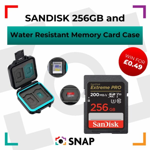 Sandisk 256GB and Memory Card Case