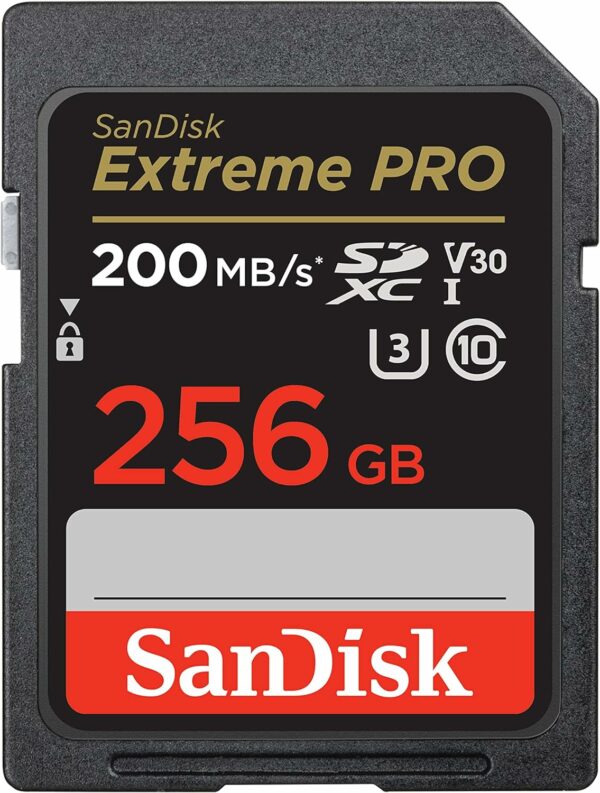 Sandisk 256GB and Memory Card Case - Image 11