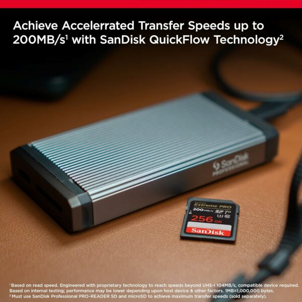 Sandisk 256GB and Memory Card Case - Image 6