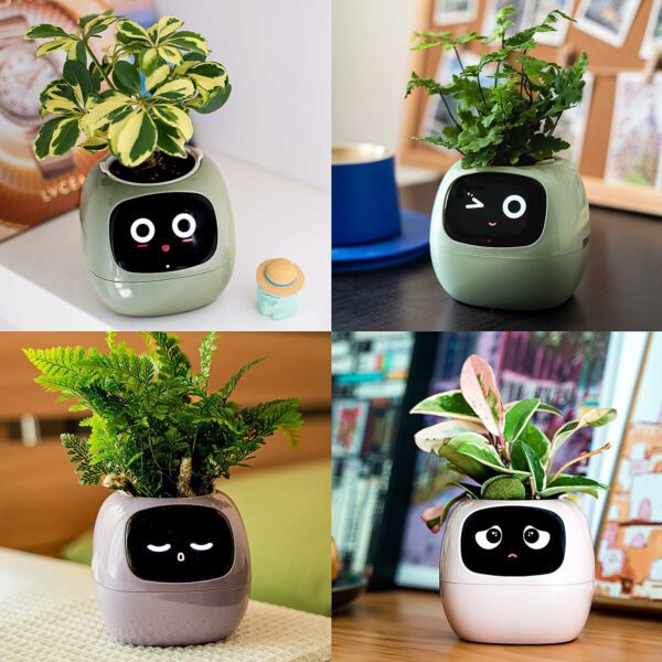 Smart Flowerpots - Image 7