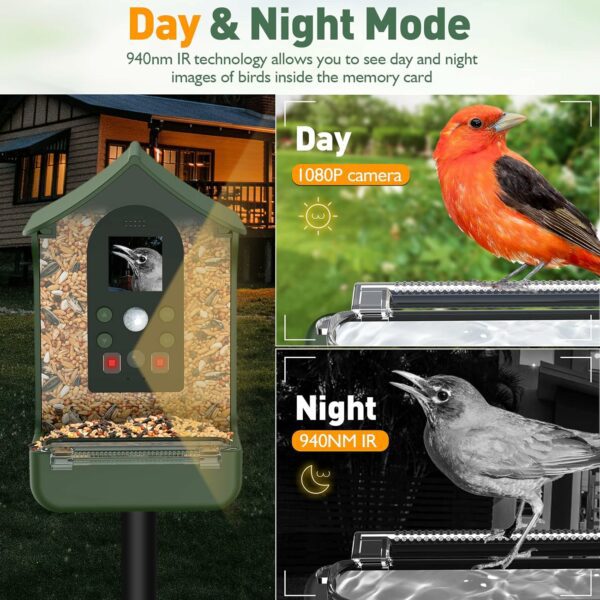 Cozion Smart Bird Feeder with Camera - Image 3