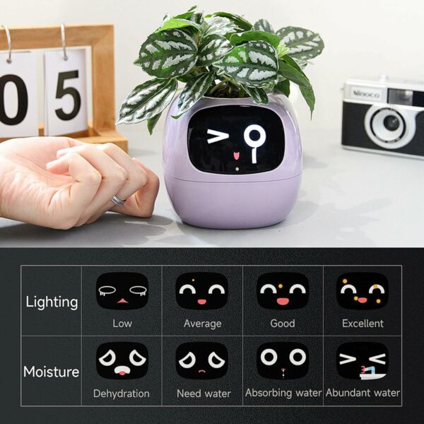 Smart Flowerpots - Image 5