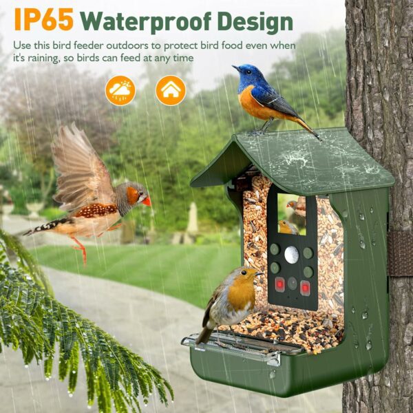 Cozion Smart Bird Feeder with Camera - Image 4