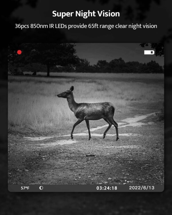 USOGOOD WILDLIFE TRAIL CAMERA - TWIN PACK - Image 7