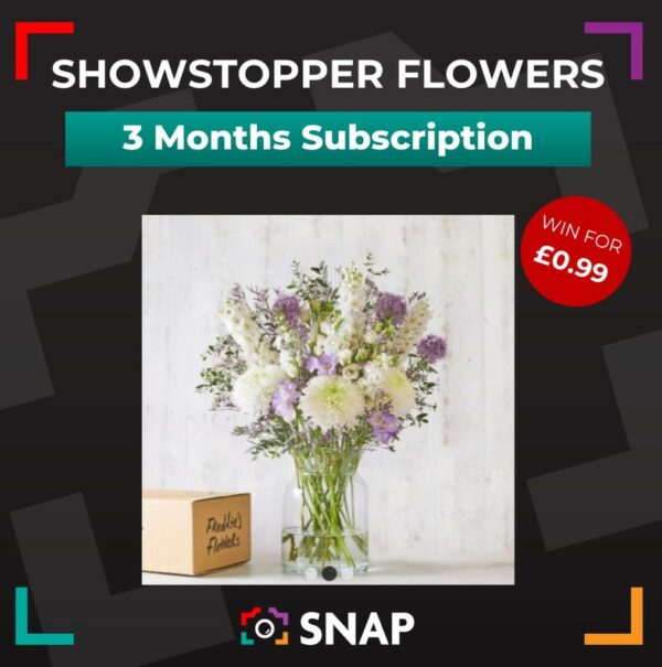 Showstopper Flowers