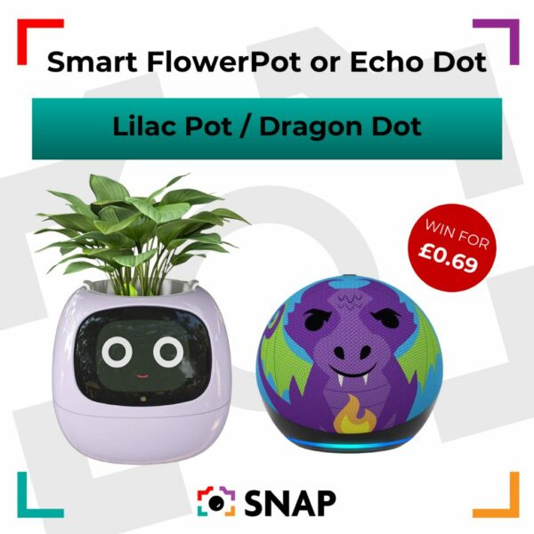 Smart FlowerPot / Echo Dot Dragon