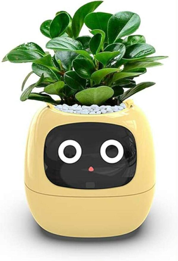 Smart Flowerpot - Image 8