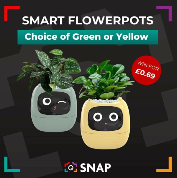 Smart Flowerpot