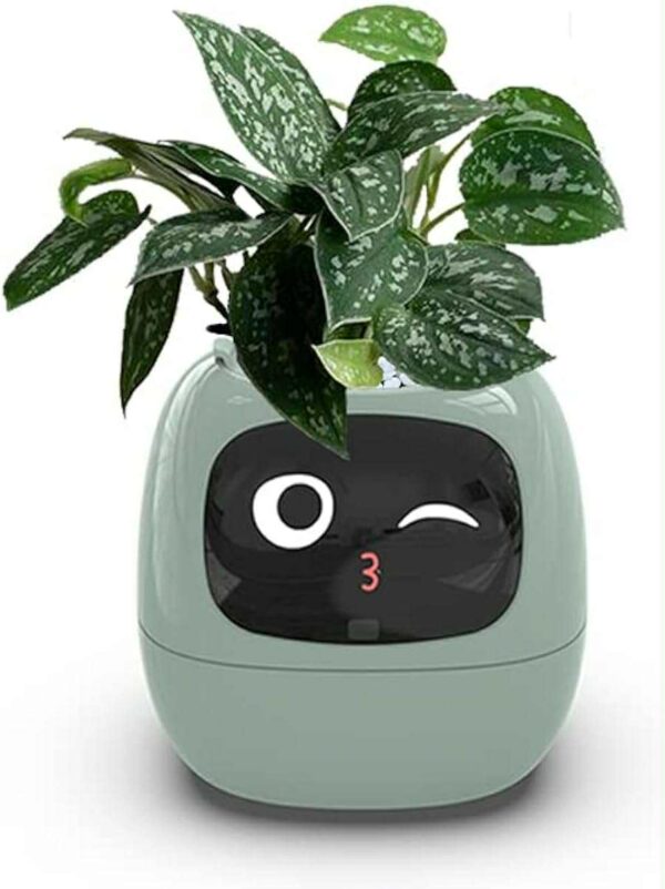 Smart Flowerpot - Image 9
