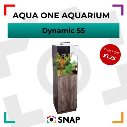 Aqua One Dynamic Aquarium competition prize